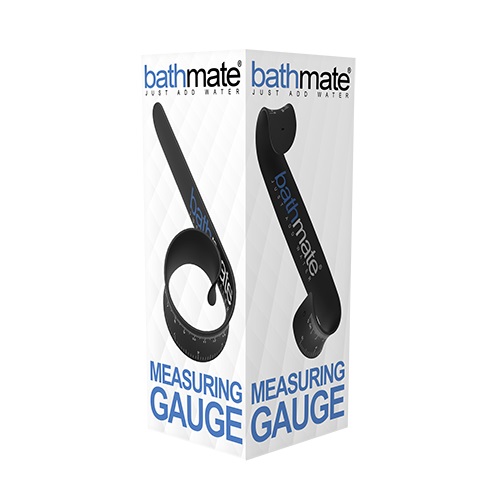 ������ ��������� ������� Measuring Gauge