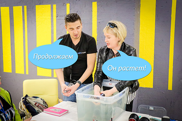 �������� ���