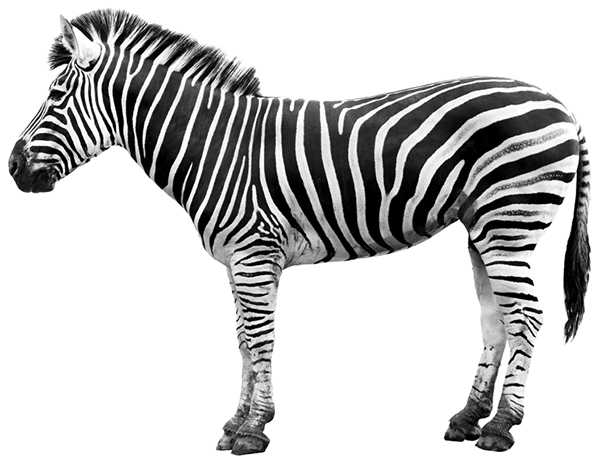 ����� ���